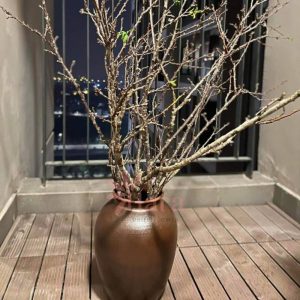 binh-cam-hoa-gom-su-dang-chum-s16