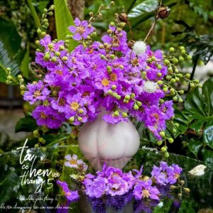 binh-cam-hoa-gom-su-dang-gio-cua-mui10