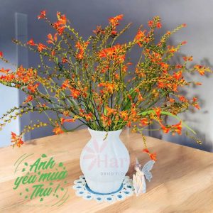 binh-cam-hoa-gom-su-dang-gio-cua-mui2