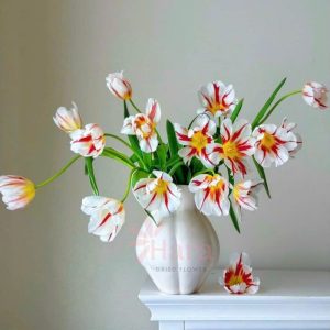 binh-cam-hoa-gom-su-dang-gio-cua-mui4