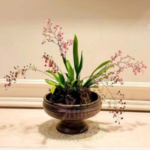 binh-cam-hoa-gom-su-dang-ly-trong-thuy-tien5