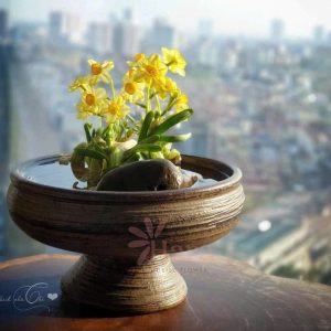 binh-cam-hoa-gom-su-dang-ly-trong-thuy-tien7