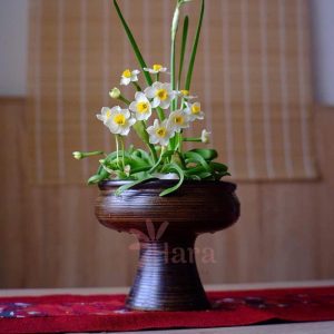 binh-cam-hoa-gom-su-dang-ly-trong-thuy-tien8